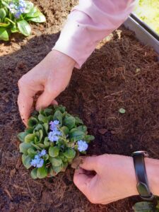 Mediclin Seniorenresidenz Brunnenbergblick Bad Elster