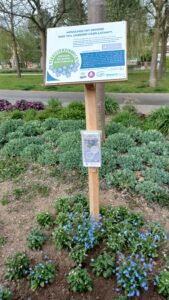 Vogtlädisches Netzwerk Demenz Reichenbach4